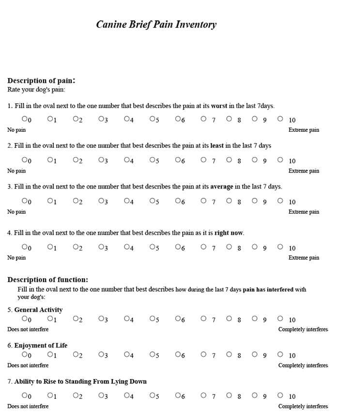 Canine Pain Score