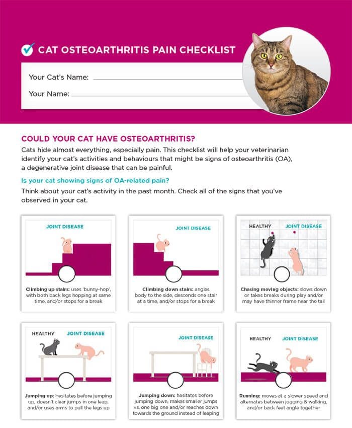 Cat Osteoarthritis Checklist