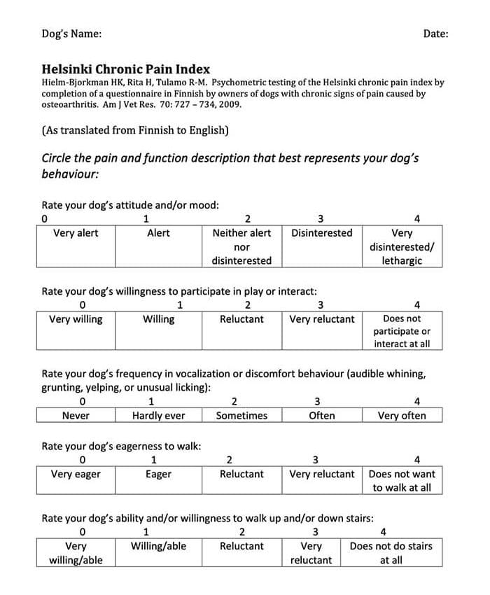 Helsinki Chronic Pain Index