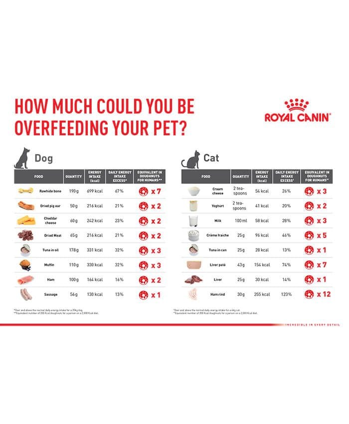 How Much Could You be Overfeeding your Pet