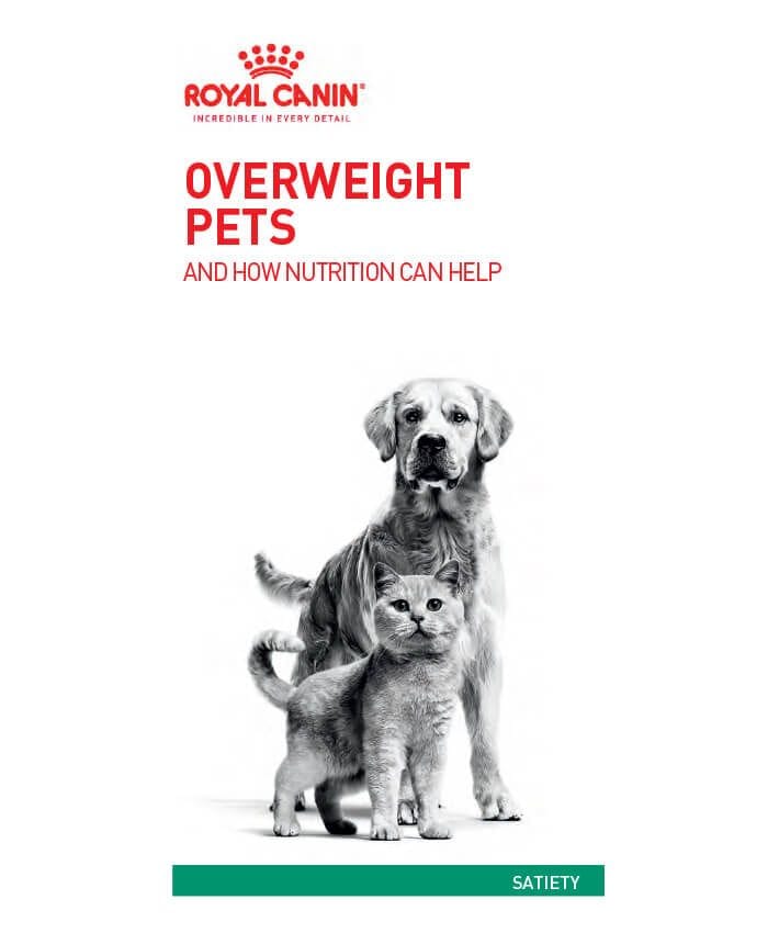 Overweight Pets and How Nutrition Can Help