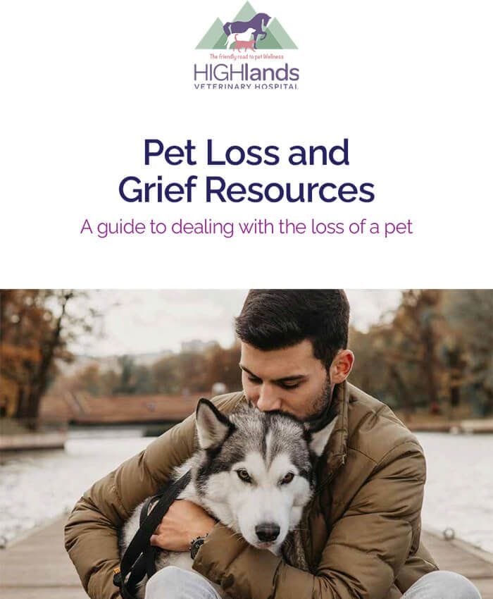 Pet Loss & Grief Support