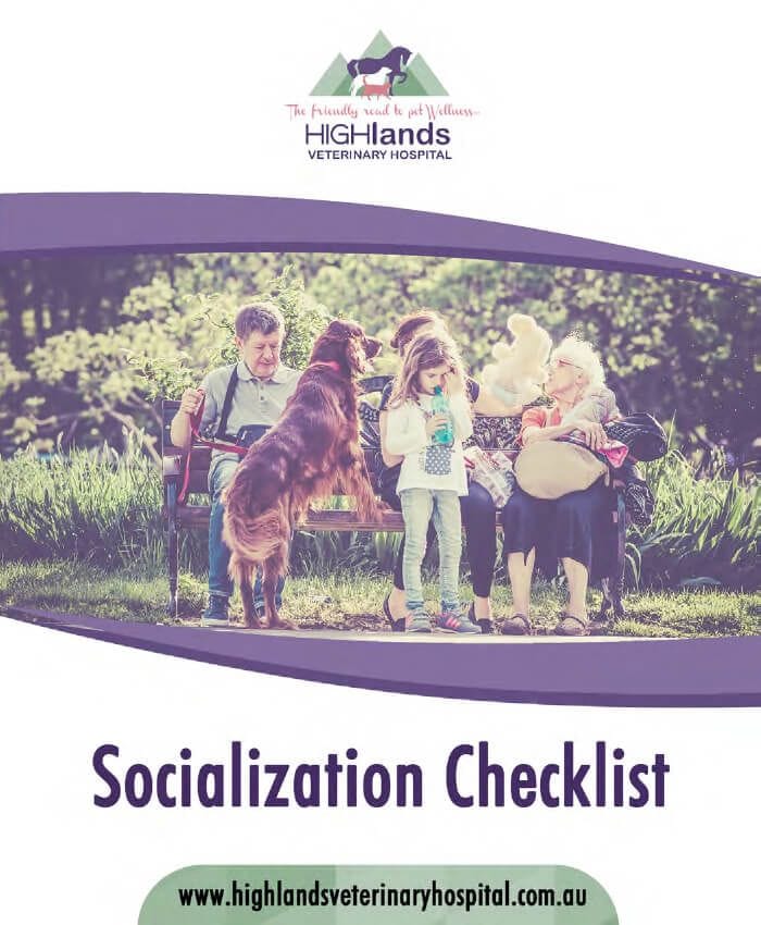 Puppy Socialisation Checklist