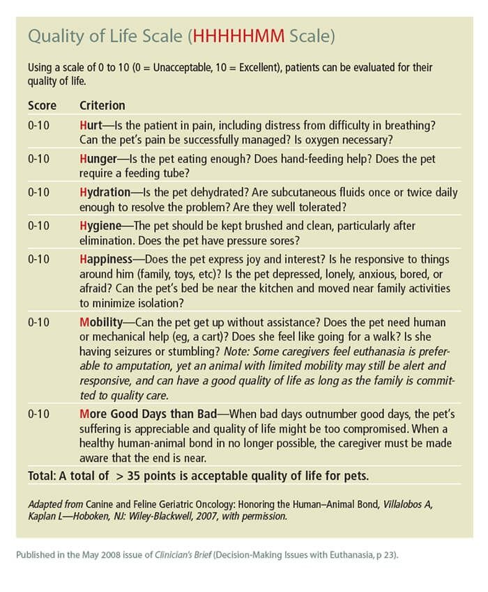 Quality of Life Scale