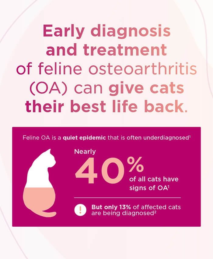 Early Diagnosis and Treatment of Feline Osteoarthritis