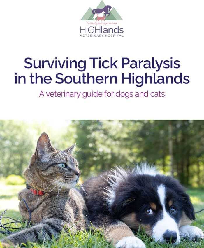 Surviving Tick Paralysis in the Southern Highlands