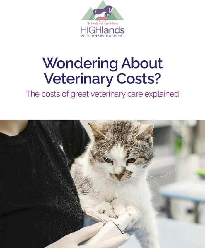 Wondering About Veterinary Costs?