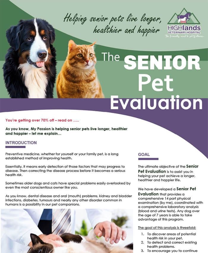 The Senior Pet Evaluation