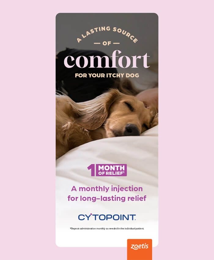 Treat Your Dog's Itching with Cytopoint