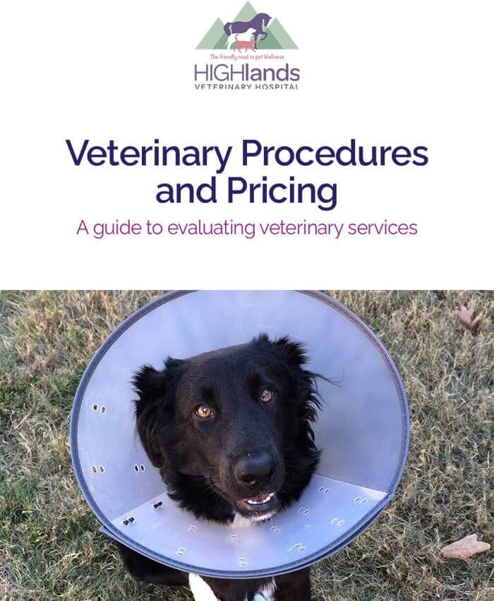 Veterinary Procedures & Pricing