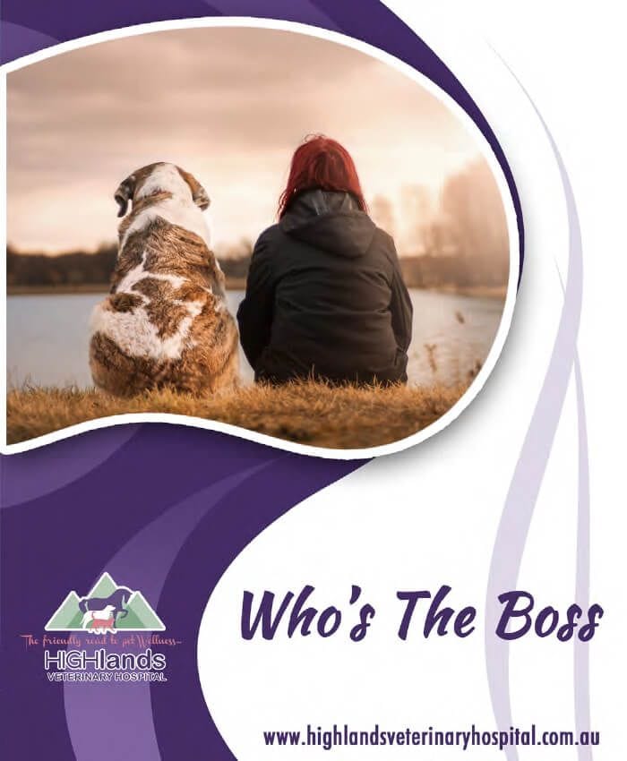 Who's the Boss—You or Your Dog?