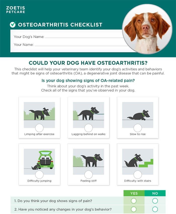 Dog Osteoarthritis Checklist