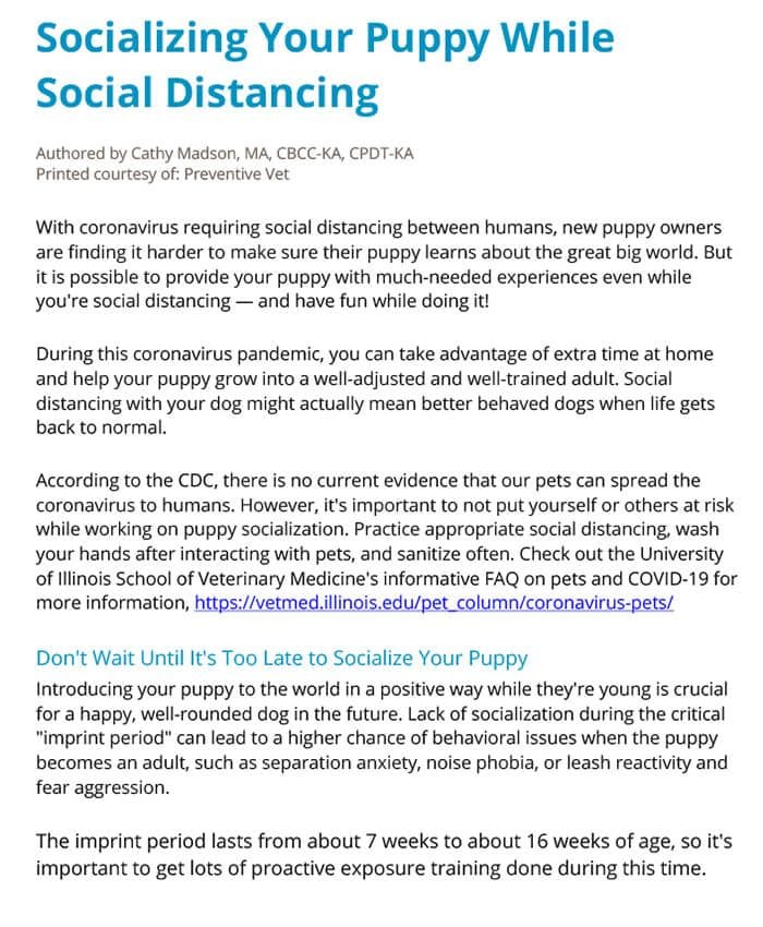 Socializing Your Puppy While Social Distancing