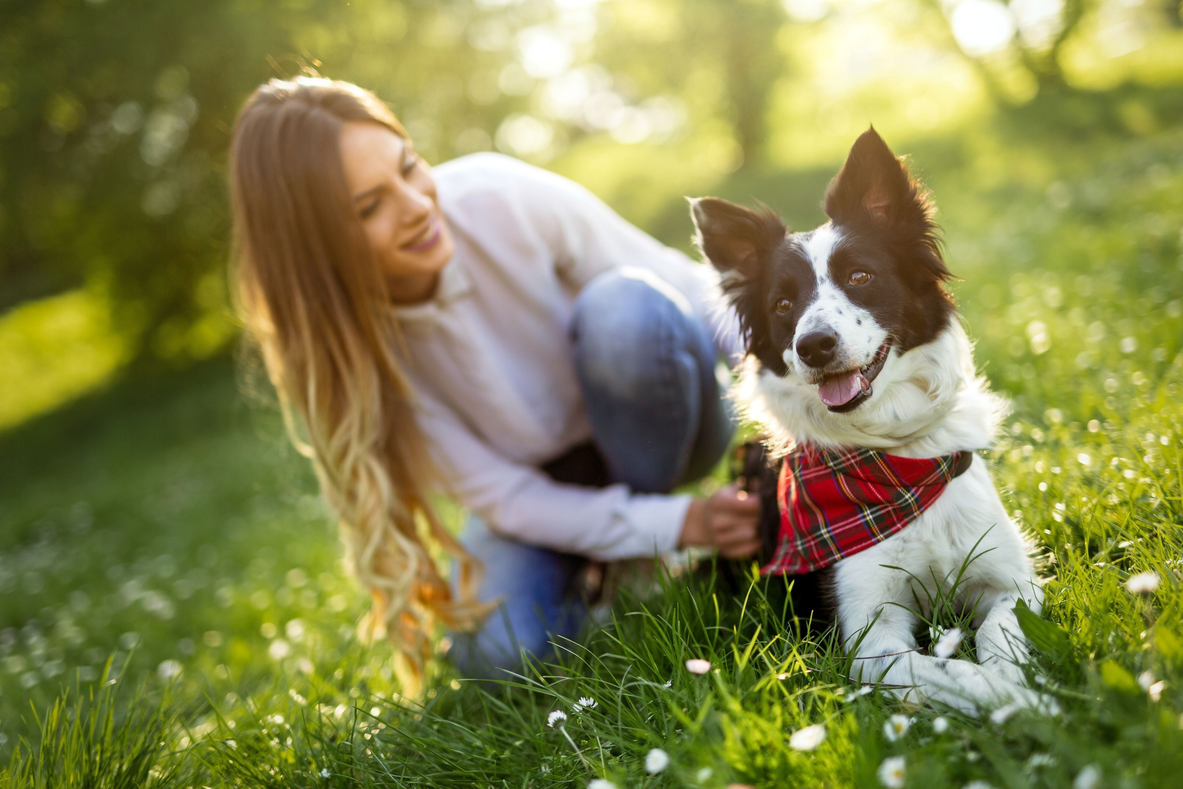 Protecting your dog from Leptospirosis | A vital step for Sydney Pet Owners