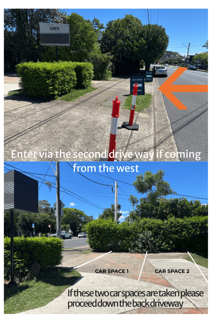 Parking Onsite Parking