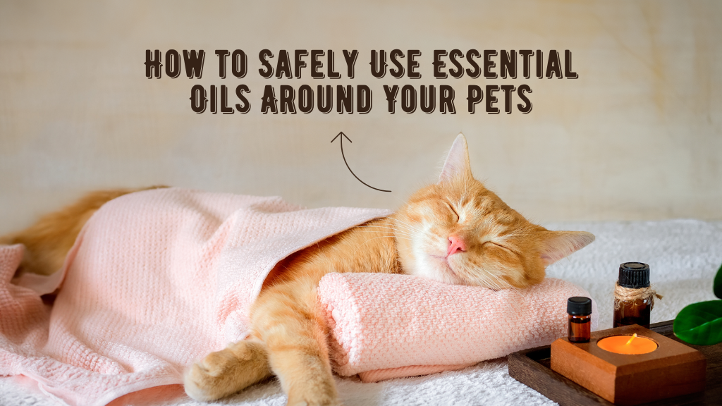 How to Protect Your Pets While Enjoying Essential Oils