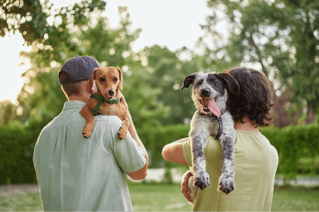 Referr a friend to Ipswich Vets