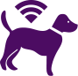 Microchipping