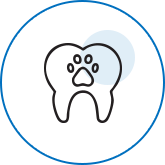 Free Dental Check up Pets