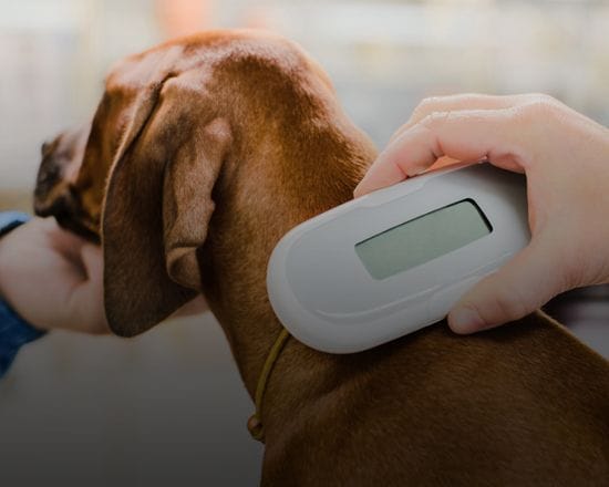 Micro Chipping