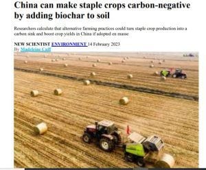 China can make staple crops carbon-negative by adding biochar to soil