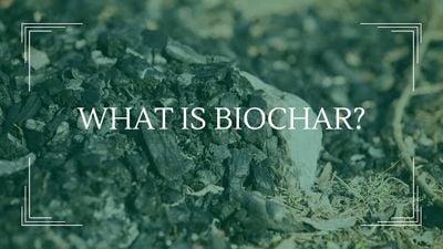 What is Biochar? Past Events Image -68832c29cafeb