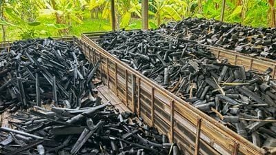 Pyrocal Biosolids ANZBIG June 2025 Pyrocal Biosolids ANZBIG June 2025