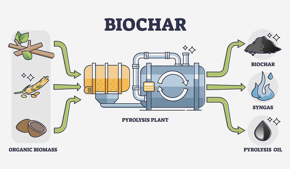 Waste napkin biochar with high-performance designed for antibiotic rapidly removal