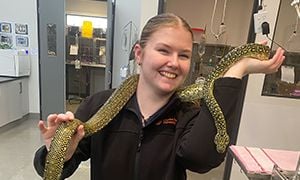 Snake Bite Signs and Prevention Snake Bite Signs and Prevention