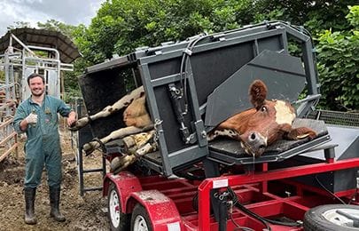 Large Animal Services