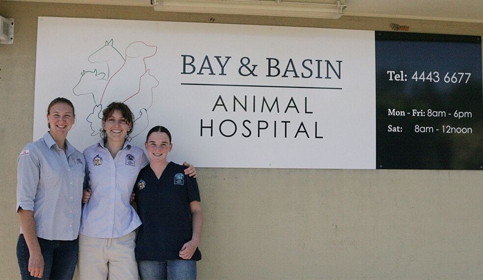 Bay & Basin Animal Hospital