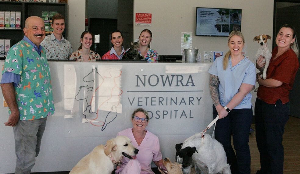 Nowra Veterinary Hospital Nowra Veterinary Hospital