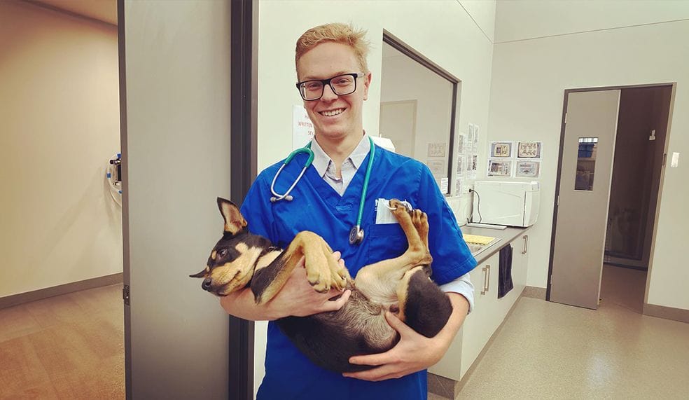 Routine Healthcare & Consultations for Pets of All Ages