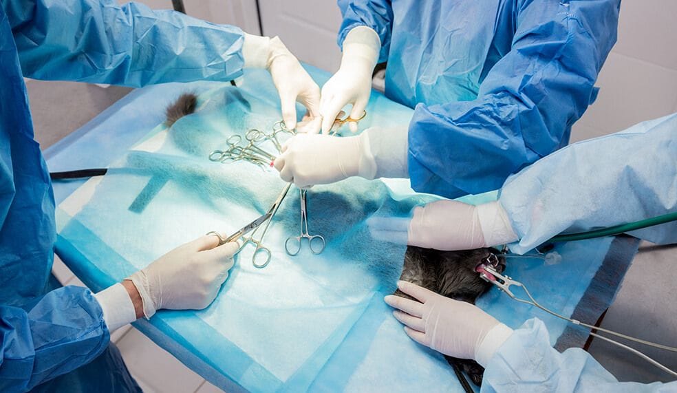 Surgical Services
