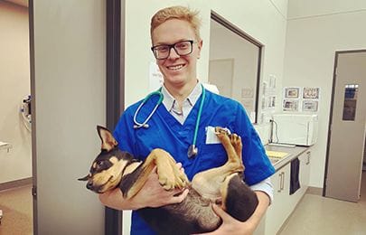 Small Animal Services