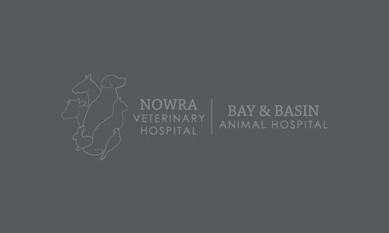 Breeding dogs - an overview for the first time breeder Breeding dogs - an overview for the first time breeder