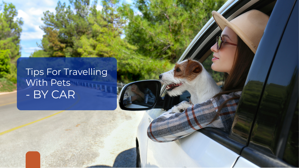 Tips For Travelling With Pets - BY CAR