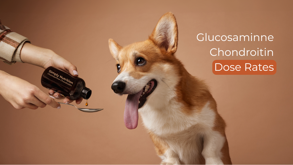 Glucosaminne Chondroitin dose rates