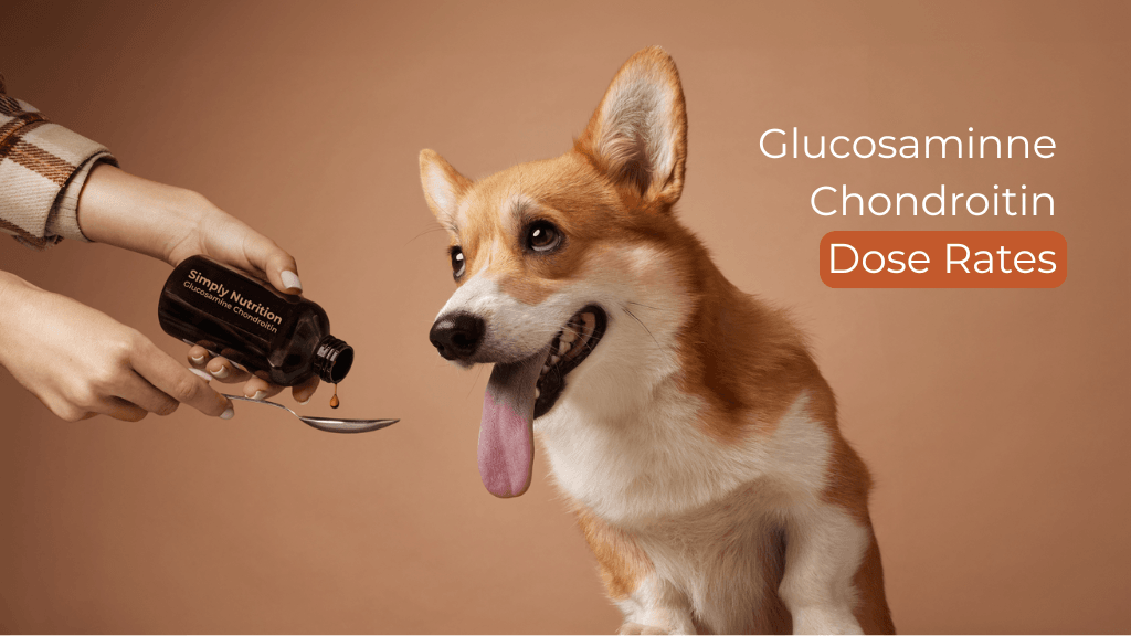 Glucosaminne Chondroitin dose rates Glucosaminne Chondroitin dose rates