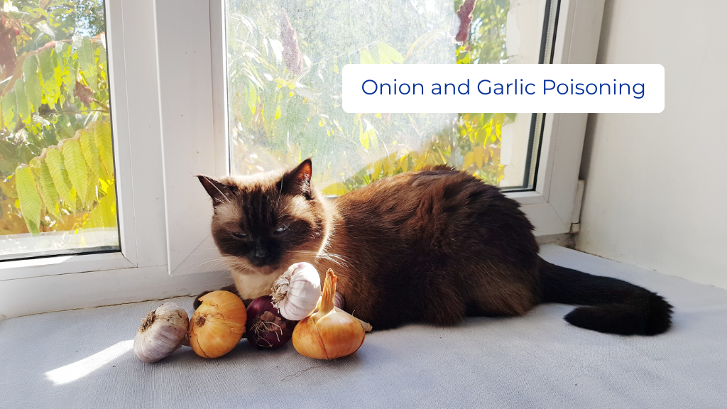 Onion and Garlic Poisoning