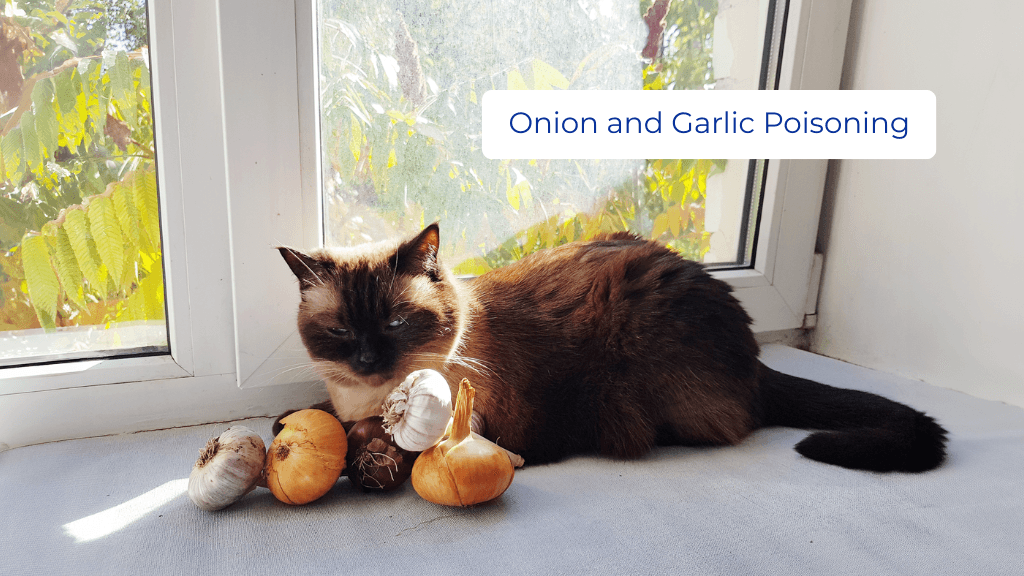 Onion and Garlic Poisoning Onion and Garlic Poisoning