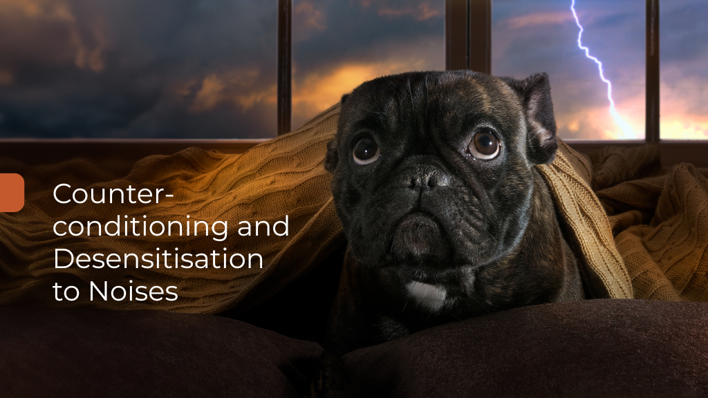 Counter-conditioning and Desensitisation to Noises