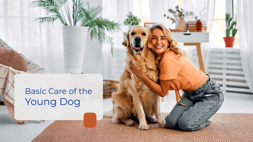Basic Care of the Young Dog Basic Care of the Young Dog