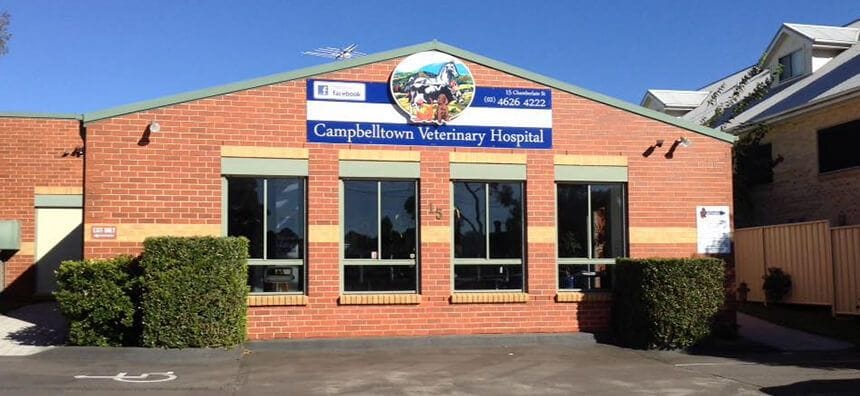 About Campbelltown Veterinary Hospital