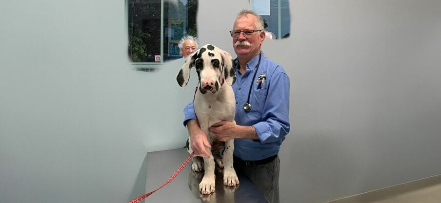General Check-Ups & Vaccinations