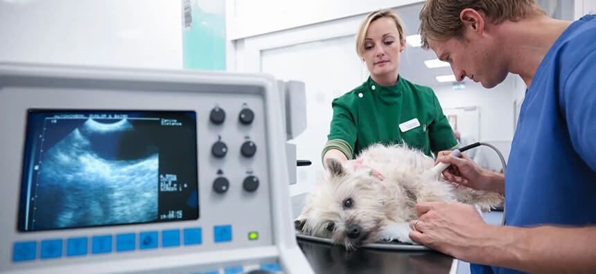 In-House Diagnostics
