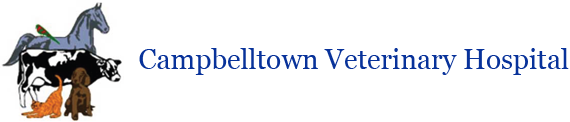 Campbelltown Veterinary Hospital