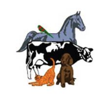 Campbelltown Veterinary Hospital