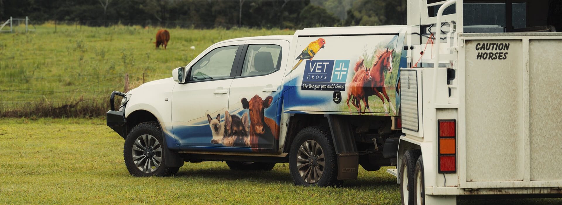 Vet Cross Horse Mobile Unit