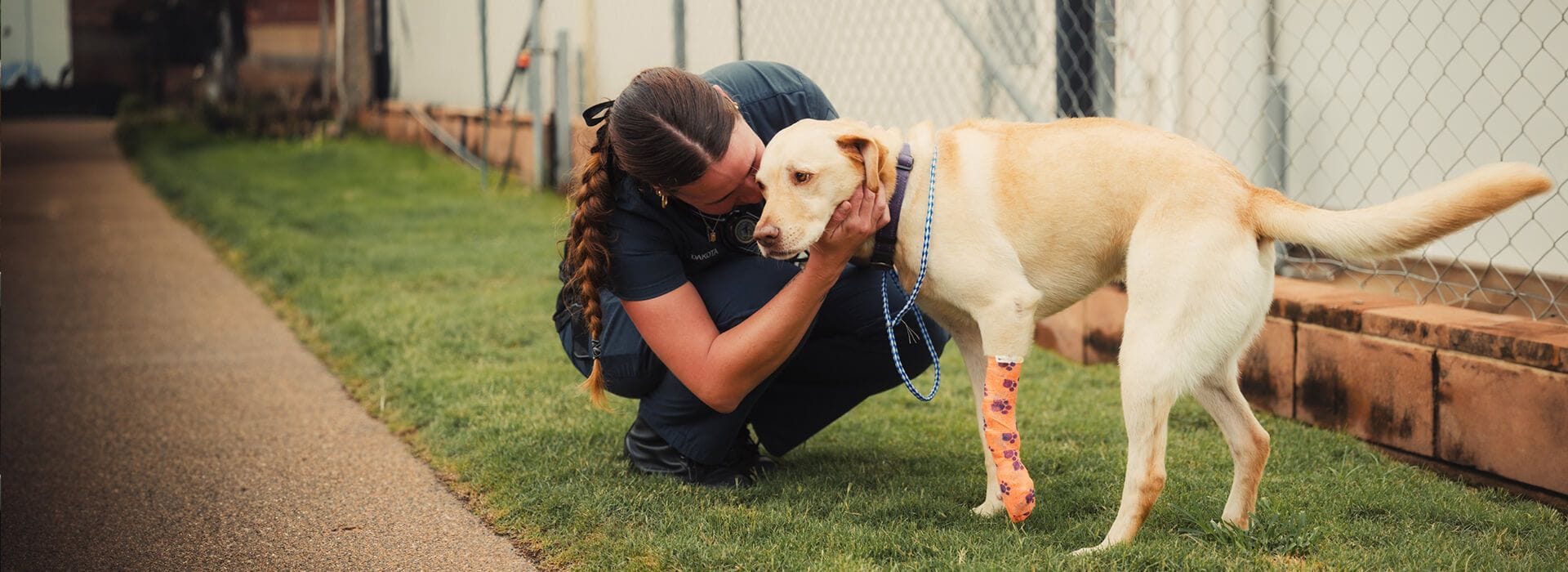 Vet Cross Nurse with injured dog
